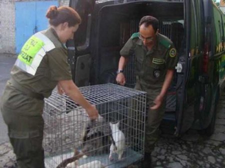 ������ �������� ������� ����-������������� �� �������� ������