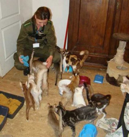 ������ �������� ������� ����-������������� �� �������� ������