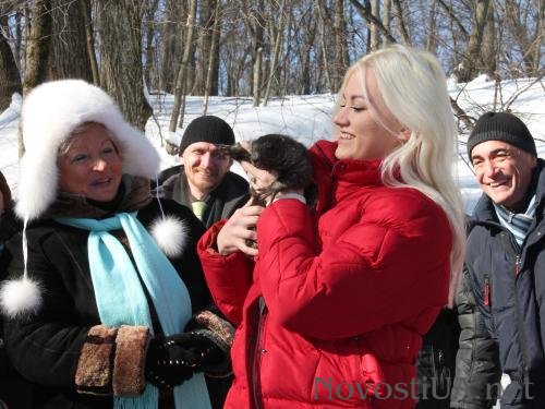 Харьковский байбак Тимка предсказал затяжную зиму +ФОТО Харьковский байбак Тимка предсказал затяжную зиму +ФОТО